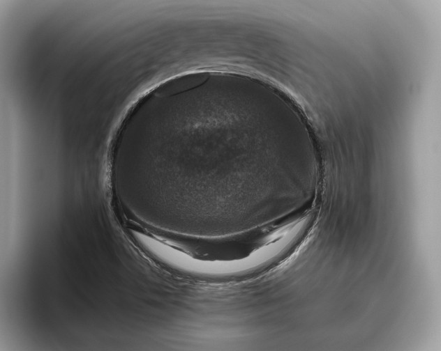 X0000095951506200802011051