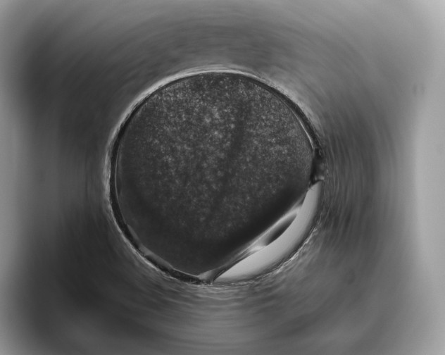 X0000095951508200802011051