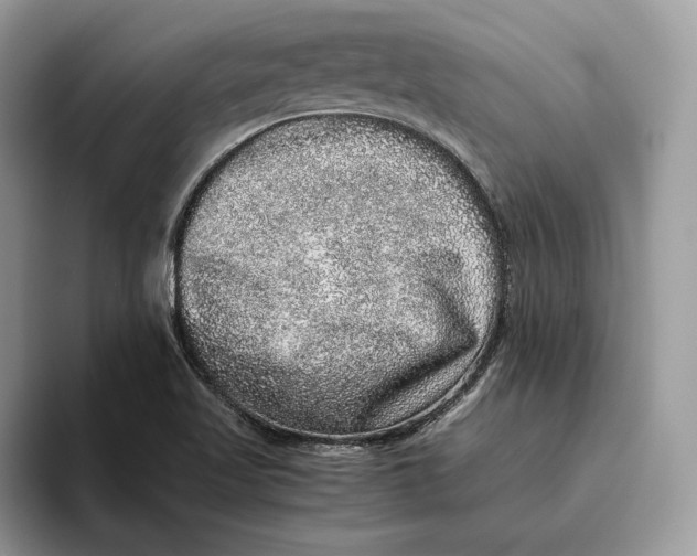 X0000095951509200802011051