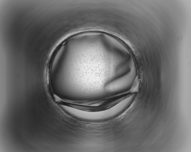 X0000095951510200802011051