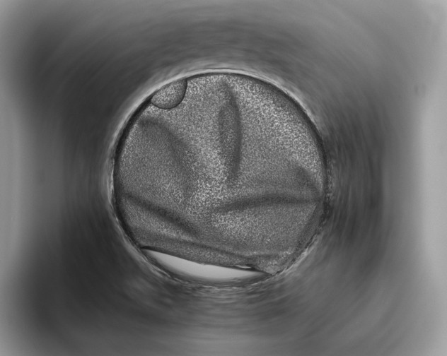 X0000095951511200802011051