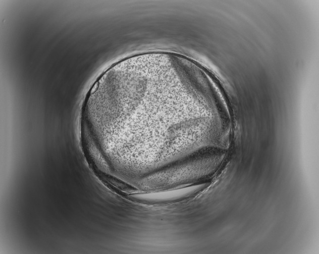 X0000095951512200802011051