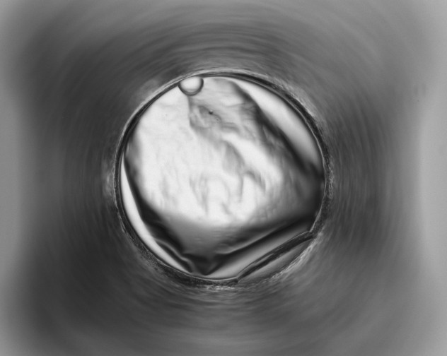 X0000095951513200802011051