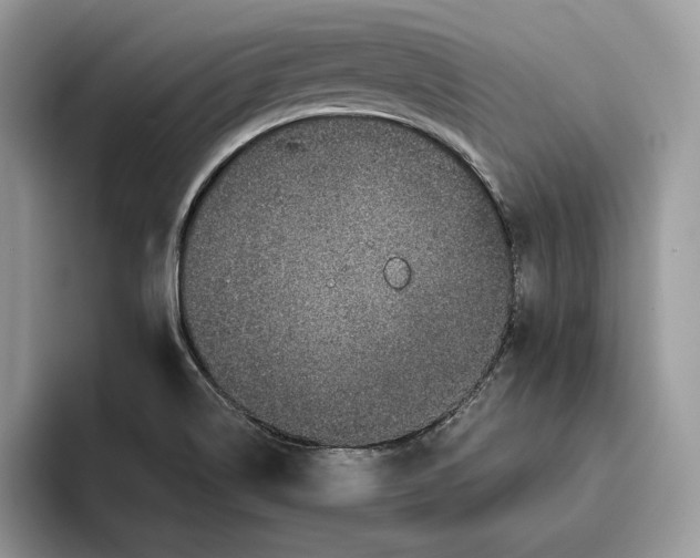 X0000095951514200802011051