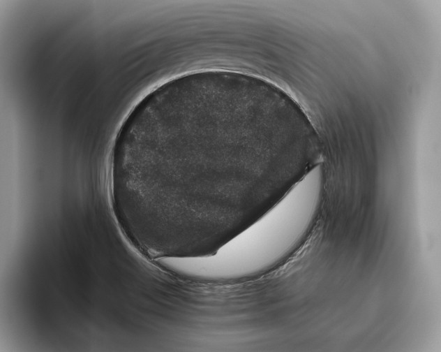 X0000095951515200802011051