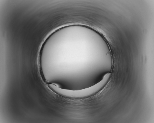 X0000095951516200802011051