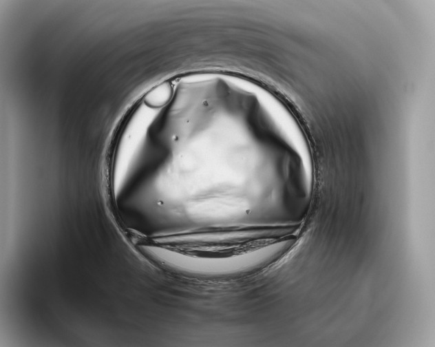 X0000095951517200802011051