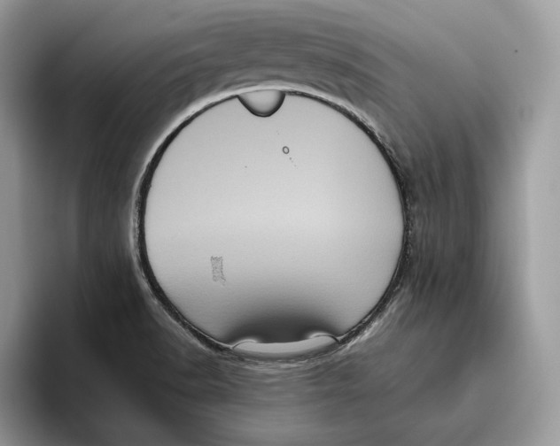 X0000095951518200802011051