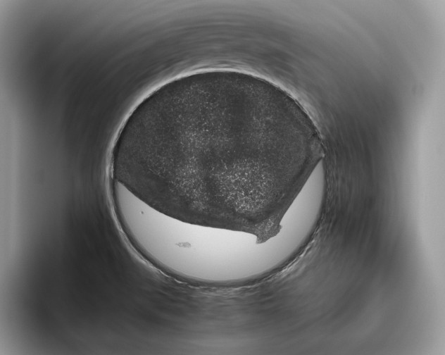 X0000095951519200802011051