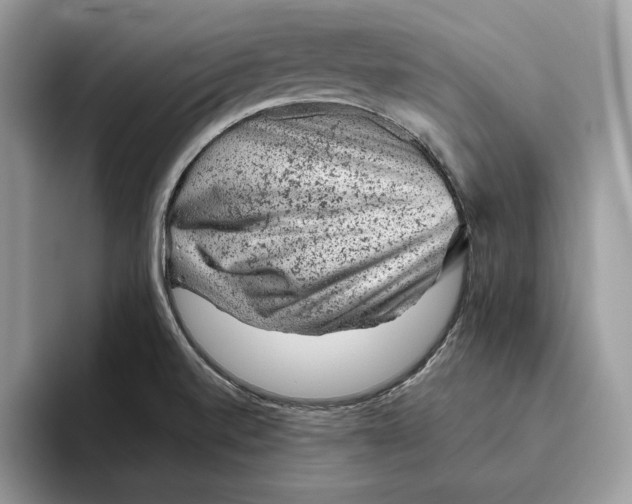 X0000095951520200802011051