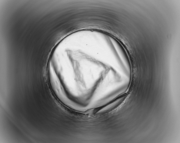 X0000095951521200802011051