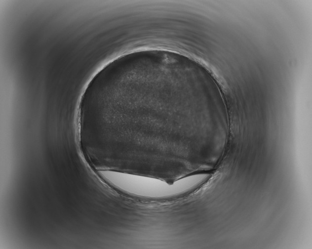 X0000095951522200802011051