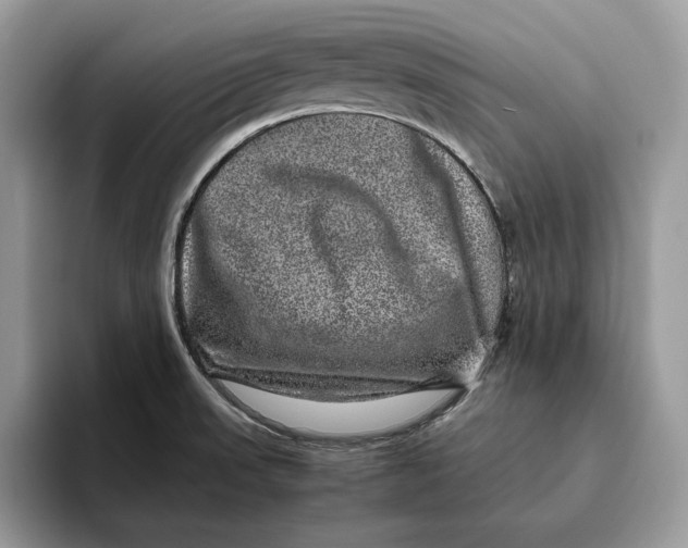 X0000095951523200802011051