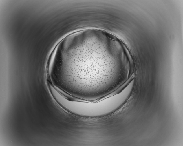 X0000095951524200802011051