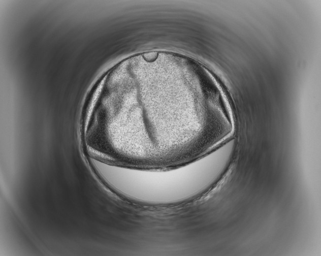 X0000095951525200802011051