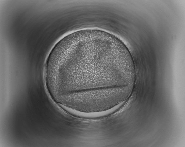 X0000095951526200802011051