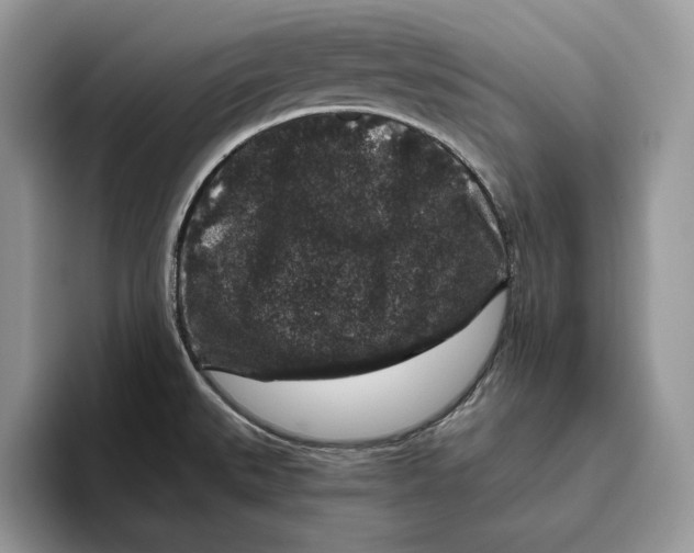 X0000095951527200802011051