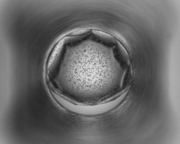 X0000095951528200802011051