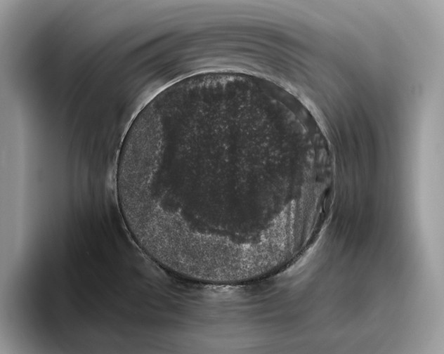 X0000095951529200802011051