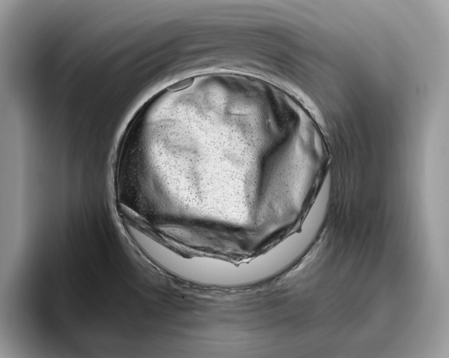 X0000095951530200802011051