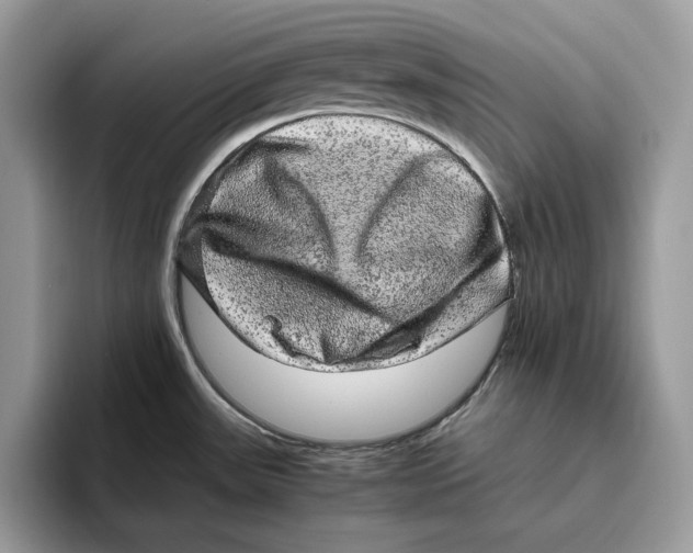 X0000095951531200802011051