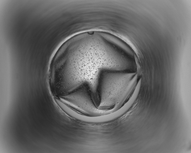 X0000095951532200802011051