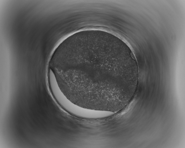 X0000095951533200802011051