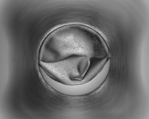 X0000095951534200802011051