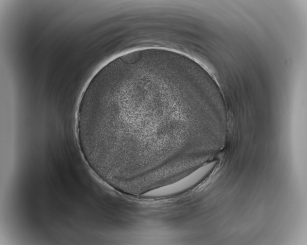 X0000095951535200802011051