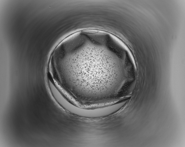 X0000095951536200802011051