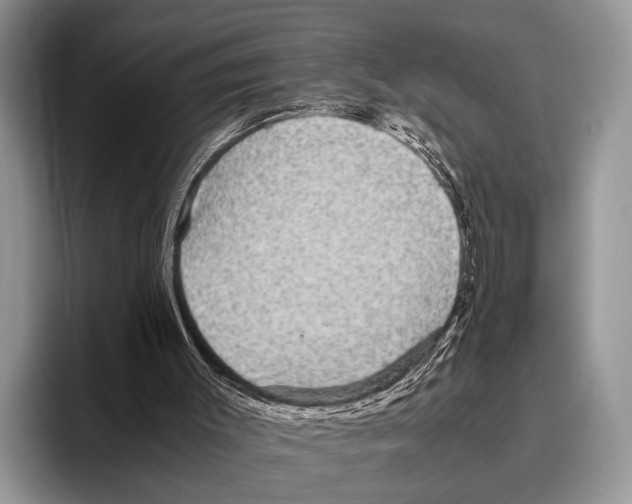 X0000095950003200802081306