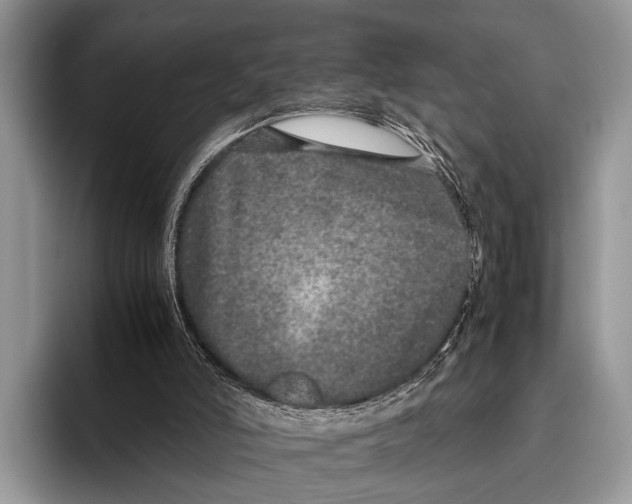 X0000095950006200802081306