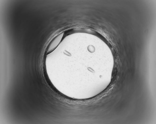 X0000095950007200802081306