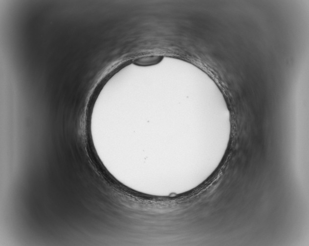 X0000095950008200802081306