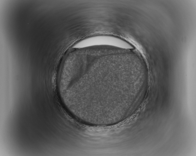 X0000095950009200802081306