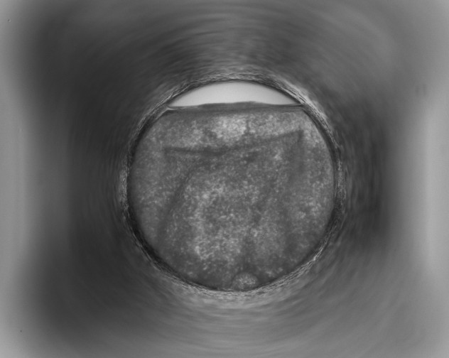 X0000095950010200802081306