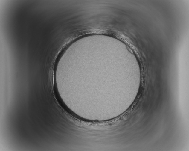 X0000095950011200802081306