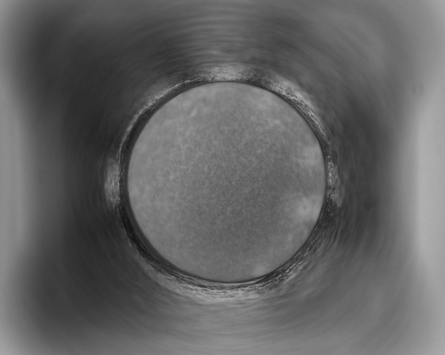 X0000095950012200802081306