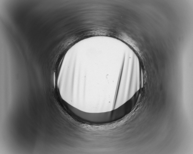 X0000095950013200802081306