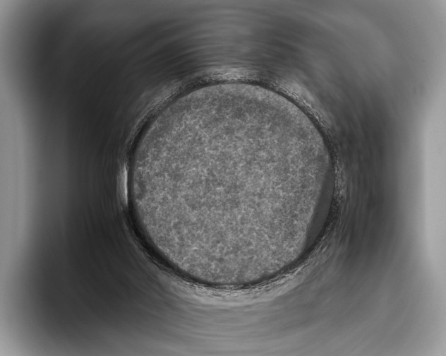 X0000095950014200802081306