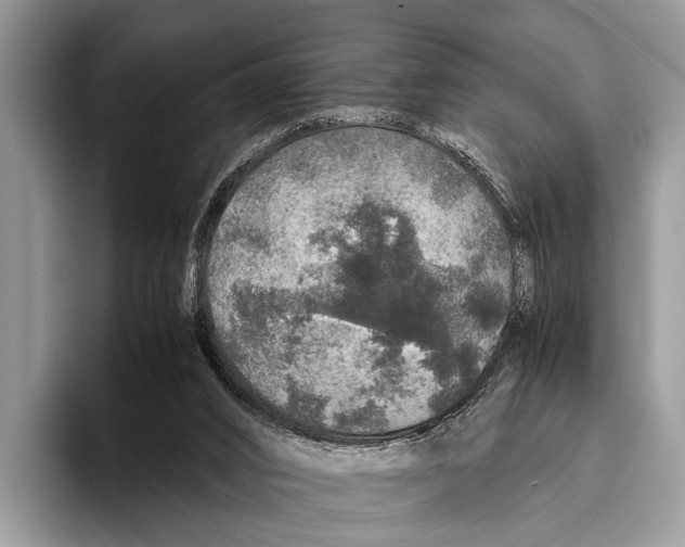 X0000095950016200802081306