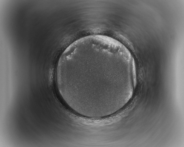 X0000095950018200802081306