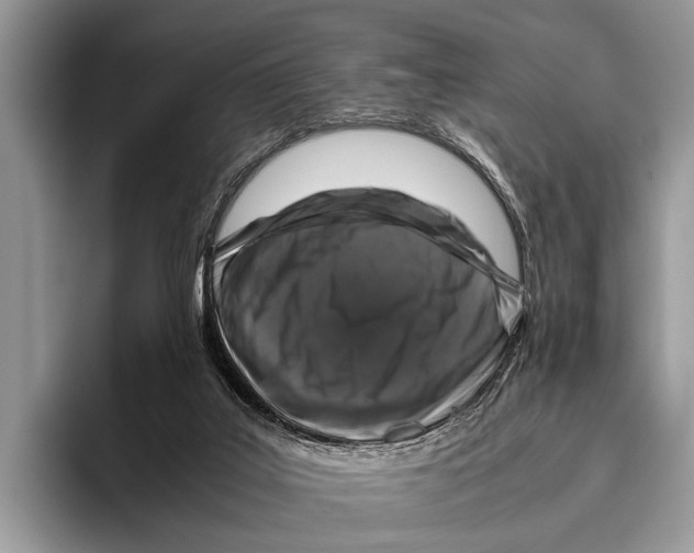 X0000095950019200802081306