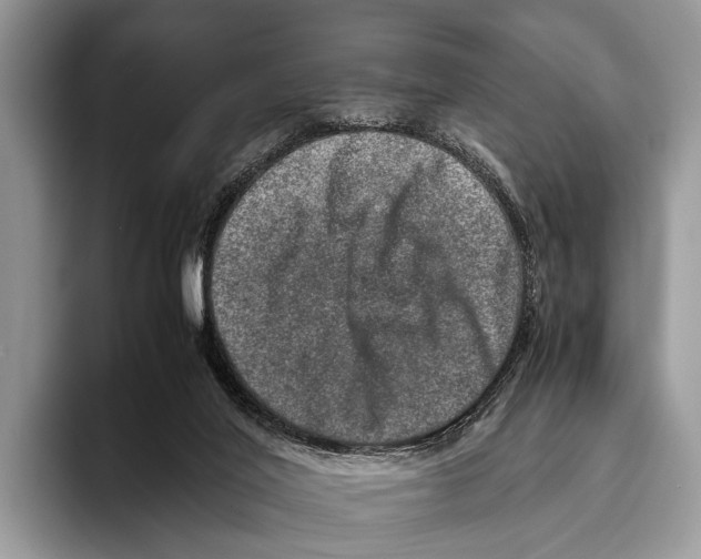 X0000095950020200802081306