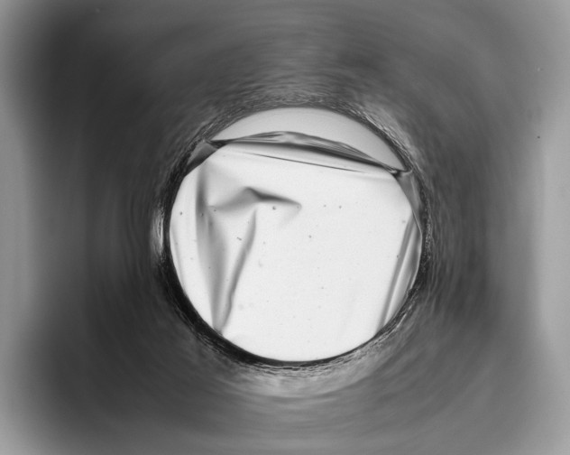 X0000095950021200802081306