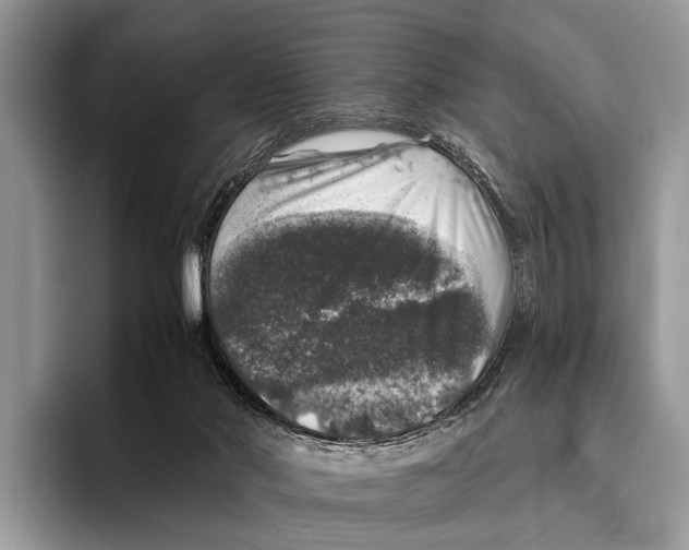 X0000095950022200802081306