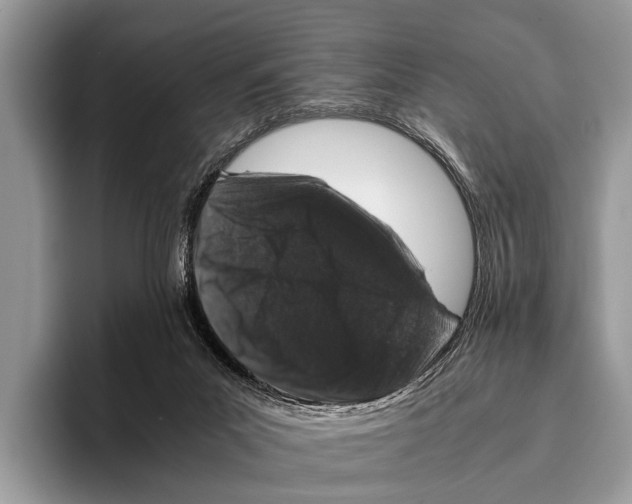 X0000095950023200802081306