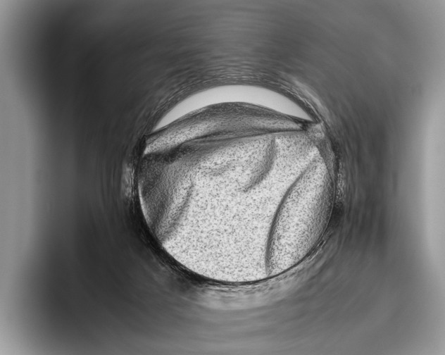 X0000095950025200802081306