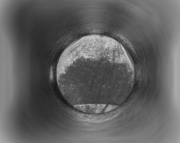 X0000095950026200802081306