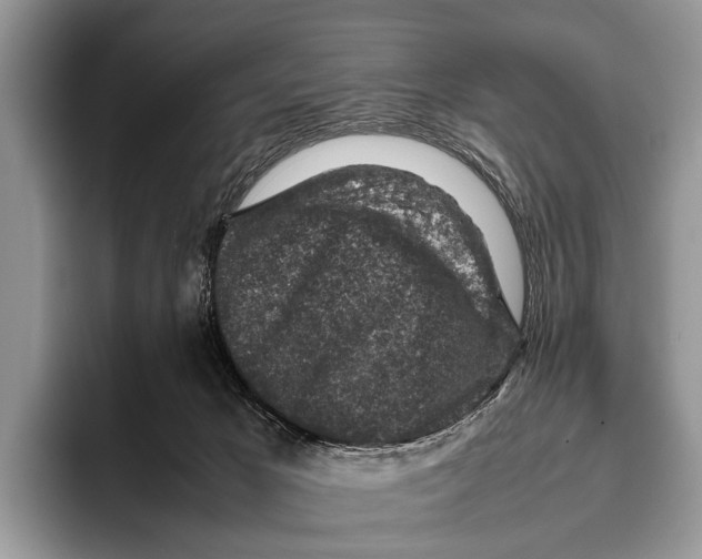 X0000095950029200802081306